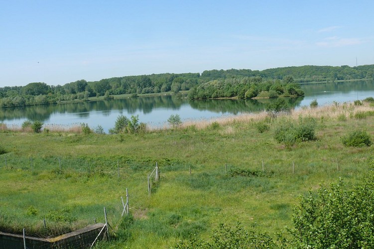 Circuit le marais de Cercanceaux Souppes sur Loing