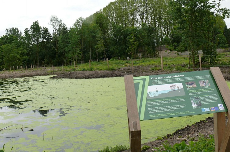 Le marais de Cercanceaux Souppes