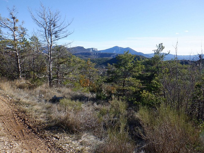 Voie Romaine & Vénascle