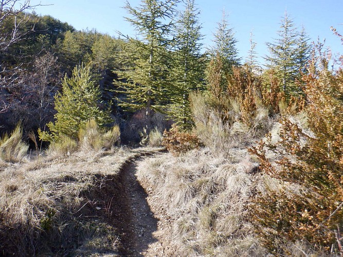 Voie Romaine & Vénascle