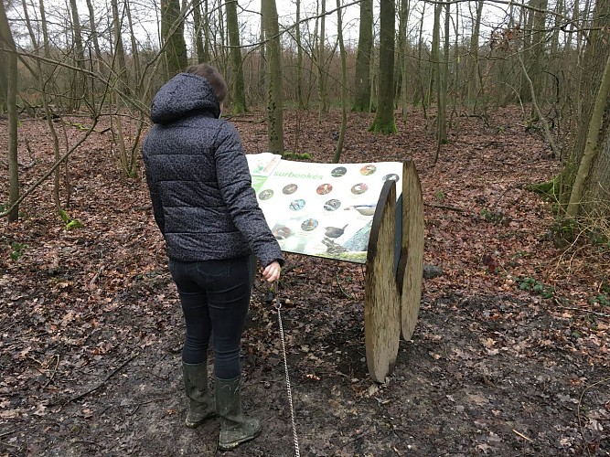 Bois didactique de Courrière (3)-min