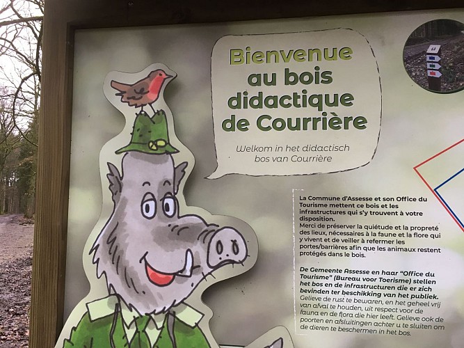 Bois didactique de Courrière (2)-min