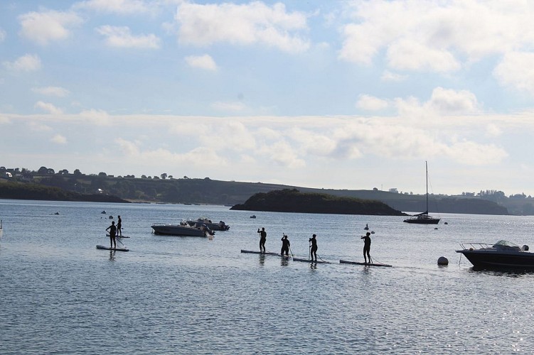 Balade en Paddle sur la Rance