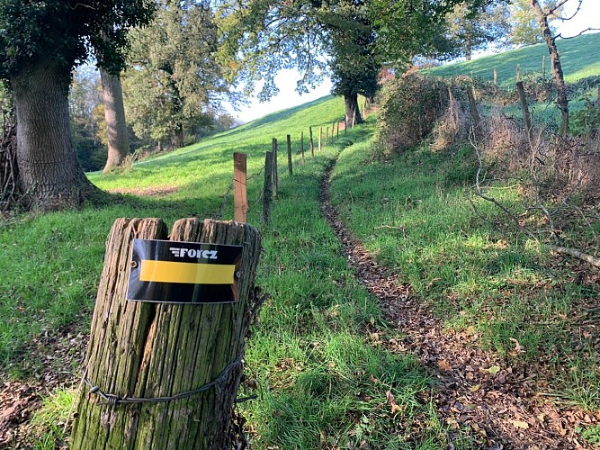 Le chemin du passementier_Aveizieux