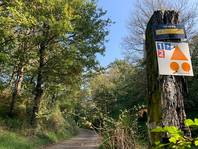 Le chemin du passementier_Aveizieux