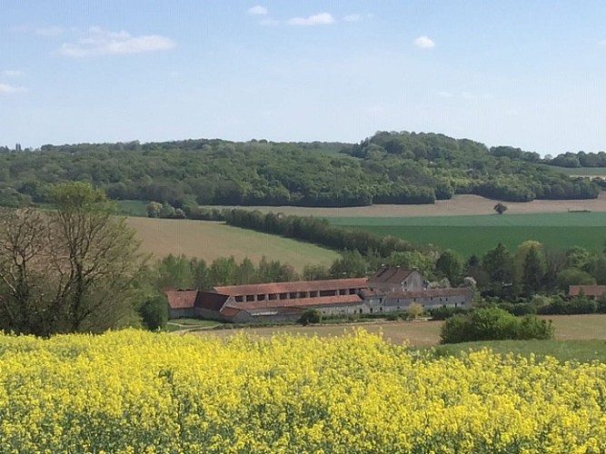 Promenade sur les pas d’Henri Hayden