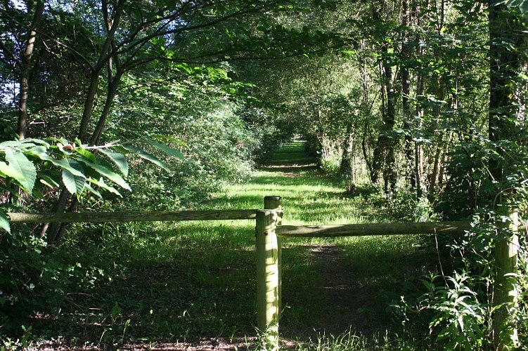 Circuit des Pierres Plates