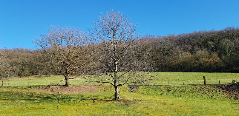 Les anciens moulins des Awirs, le château d'Oulhaye et la grotte Schmerling