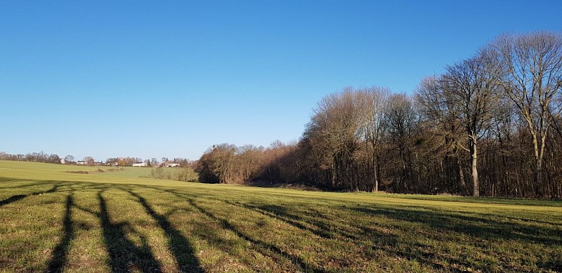 Les anciens moulins des Awirs, le château d'Oulhaye et la grotte Schmerling