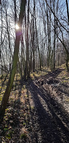 Les anciens moulins des Awirs, le château d'Oulhaye et la grotte Schmerling