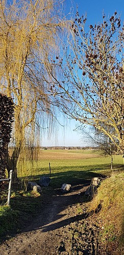 Les anciens moulins des Awirs, le château d'Oulhaye et la grotte Schmerling