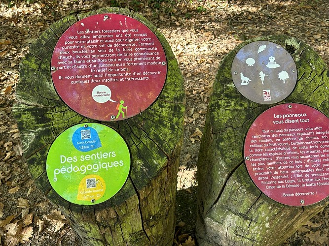Auch : sentier pédagogique bleu du Bois d'Auch_Auch