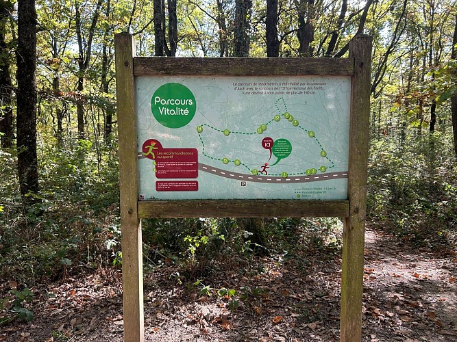 Auch : Parcours de vitalité du Bois d'Auch_Auch