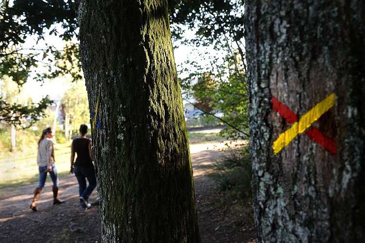 Base Uni'Vert Trail des Monts d'Ambazac - Le sentier de l'ermite