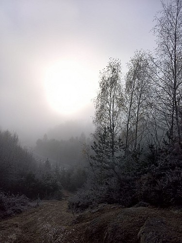 Base Uni'Vert Trail des Monts d'Ambazac - Le sentier de l'Ermite_1