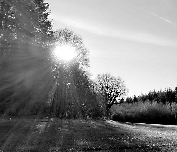 Base Uni'Vert Trail des Monts d'Ambazac - Le sentier des bonshommes