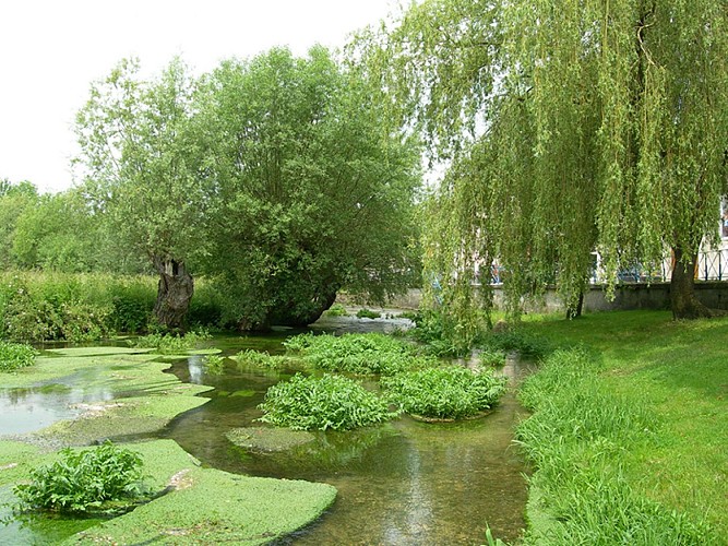 Circuit de Neufchâteau