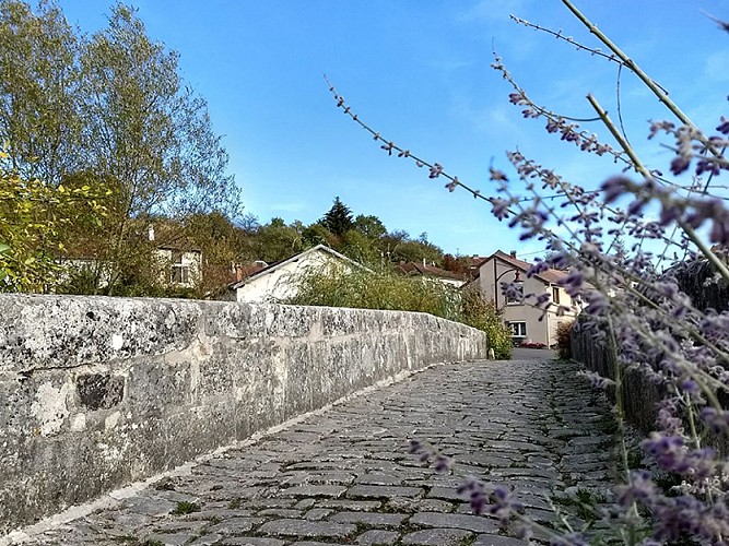 Circuit de la pelouse calcaire de Rollainville