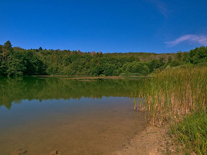 Étang de Nidange