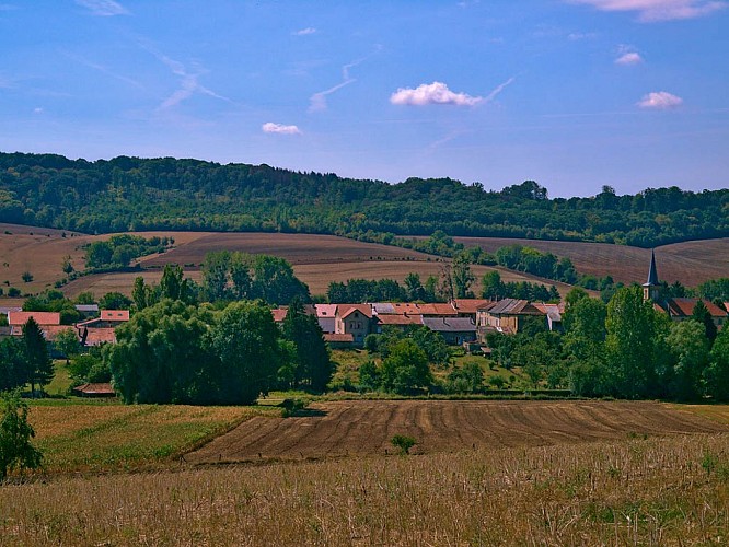 Vue depuis le chemin sur Burtoncourt