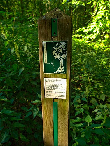 Chêne des moines, Villers-Bettnach