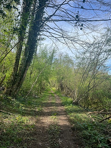 Circuit des rives du Mouzon