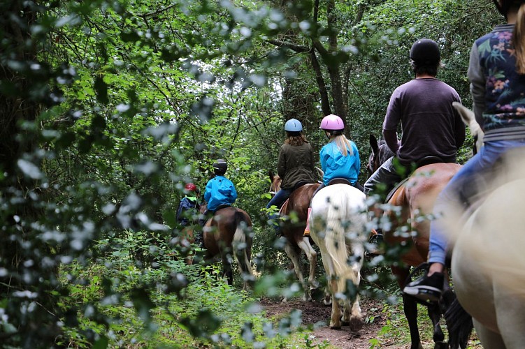 Centre équestre du lac de Trémelin