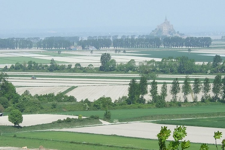 Vue sur le Baie du Mont-Saint-Michel