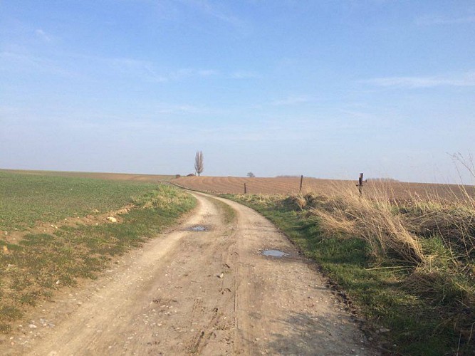 Promenade Jean Mévisse