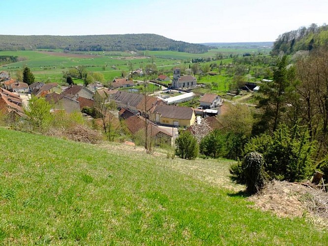 CIRCUIT DES VERGÈRES