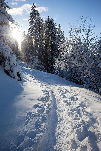 Snowshoeing itinerary : à travers les alpages