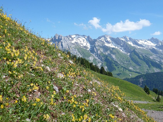Tour du Lachat - Cross country MTB route no. 4