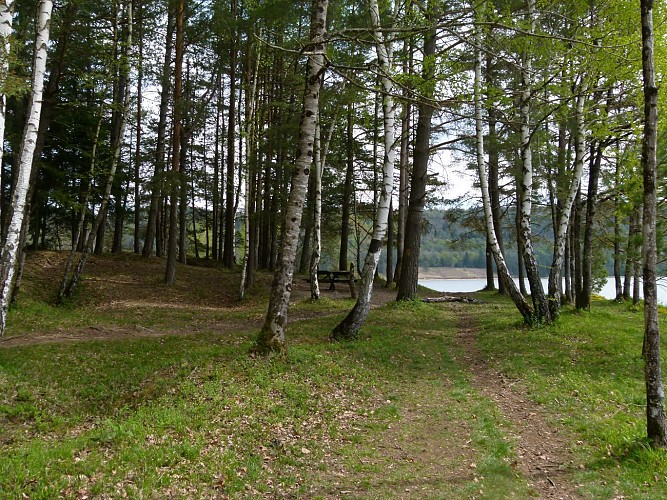 Chemin du Château