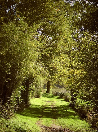 Sur le chemin des Montavents- Reugny