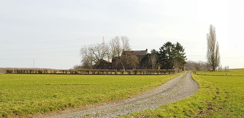 Le bois Saint-Remacle, le quartier Saint-Roch, les vignes d'Aigremont et le Pré Renard