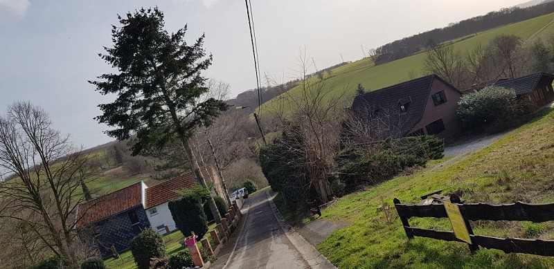Le bois Saint-Remacle, le quartier Saint-Roch, les vignes d'Aigremont et le Pré Renard