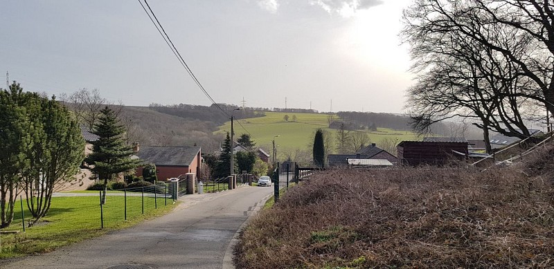 Le bois Saint-Remacle, le quartier Saint-Roch, les vignes d'Aigremont et le Pré Renard