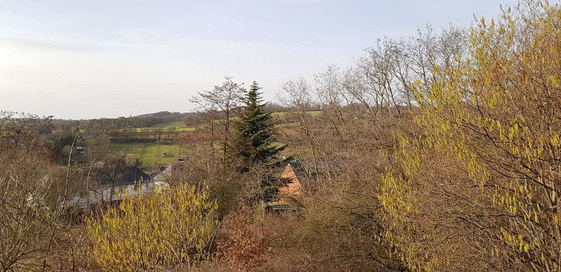 Le bois Saint-Remacle, le quartier Saint-Roch, les vignes d'Aigremont et le Pré Renard