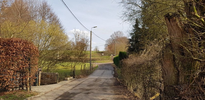 Le bois Saint-Remacle, le quartier Saint-Roch, les vignes d'Aigremont et le Pré Renard