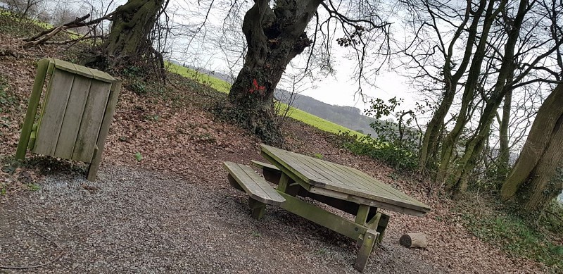 Le bois Saint-Remacle, le quartier Saint-Roch, les vignes d'Aigremont et le Pré Renard