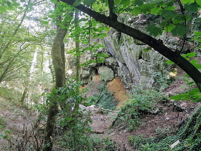 Découverte du site Schmerling