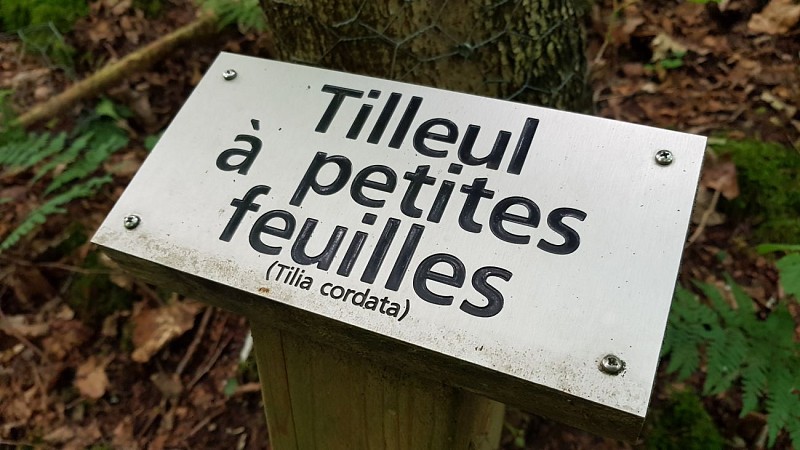 20210709_144303 (Copier)