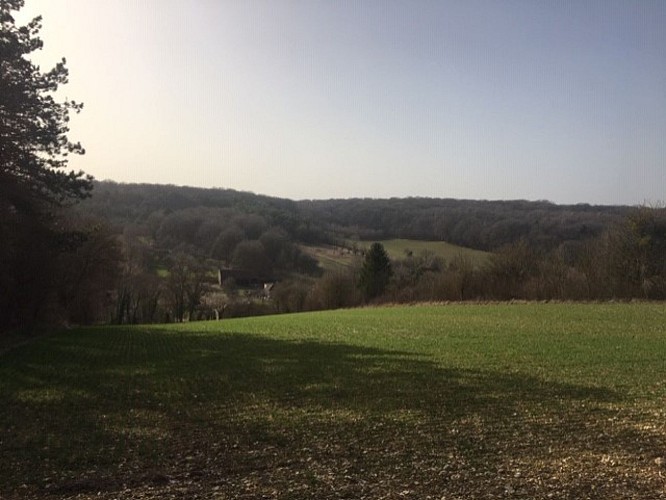 Balade à la découverte de l'oppidum de Montaigu