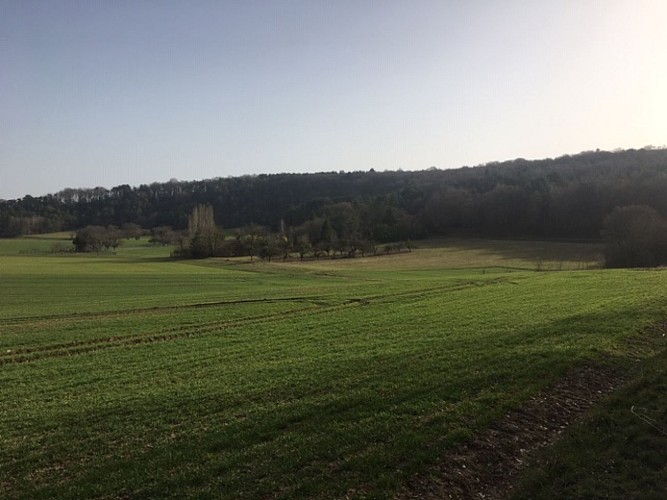 Balade à la découverte de l'oppidum de Montaigu
