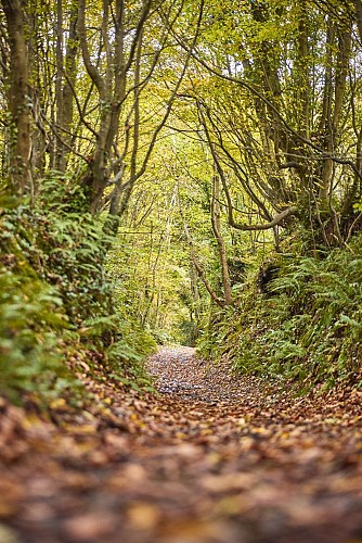 Circuit du lavoir à Cerisy-la-Salle