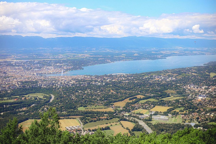 Vue sur le lac Léman et Genève depuis le Salève