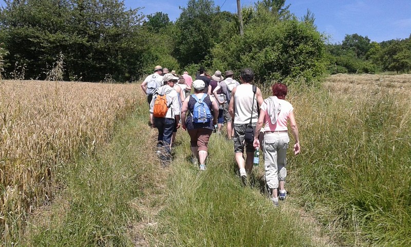 Randonnée en Pays de l'Ourcq