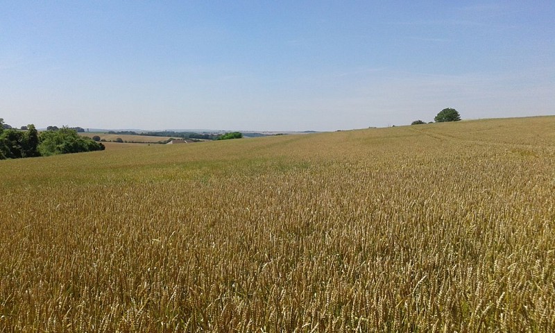 Randonnée en Pays de l'Ourcq