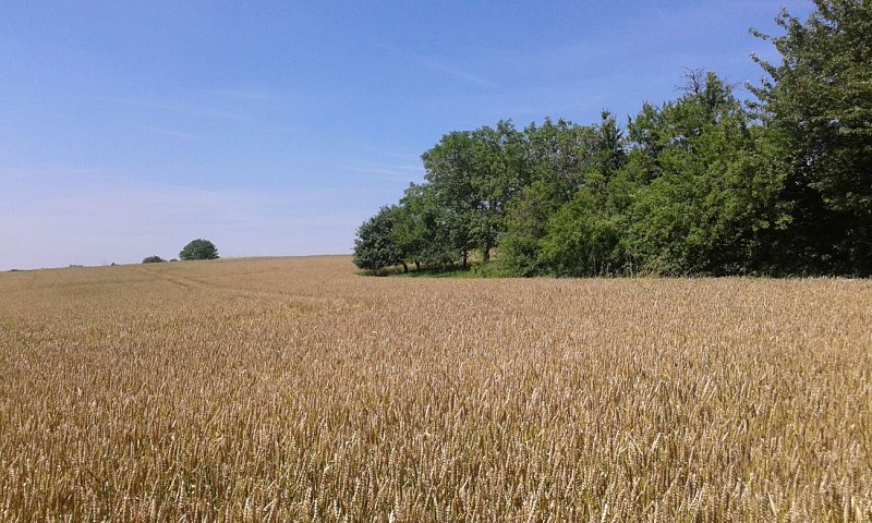 Randonnée en Pays de l'Ourcq