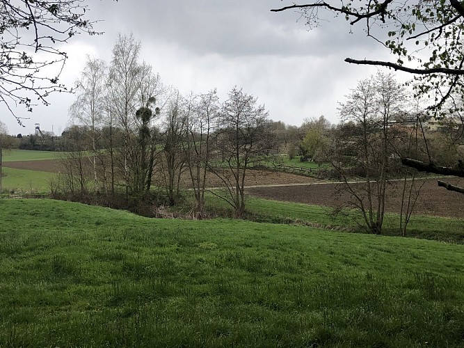 Sur les traces de la bataille de Collarmont